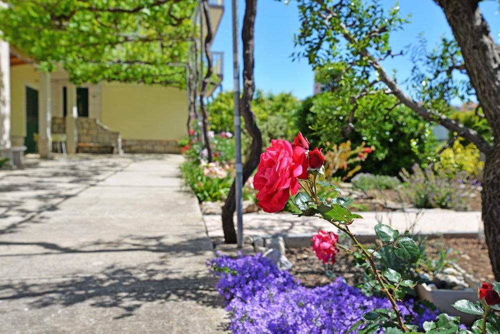 Apartments Viola بيتينا المظهر الخارجي الصورة
